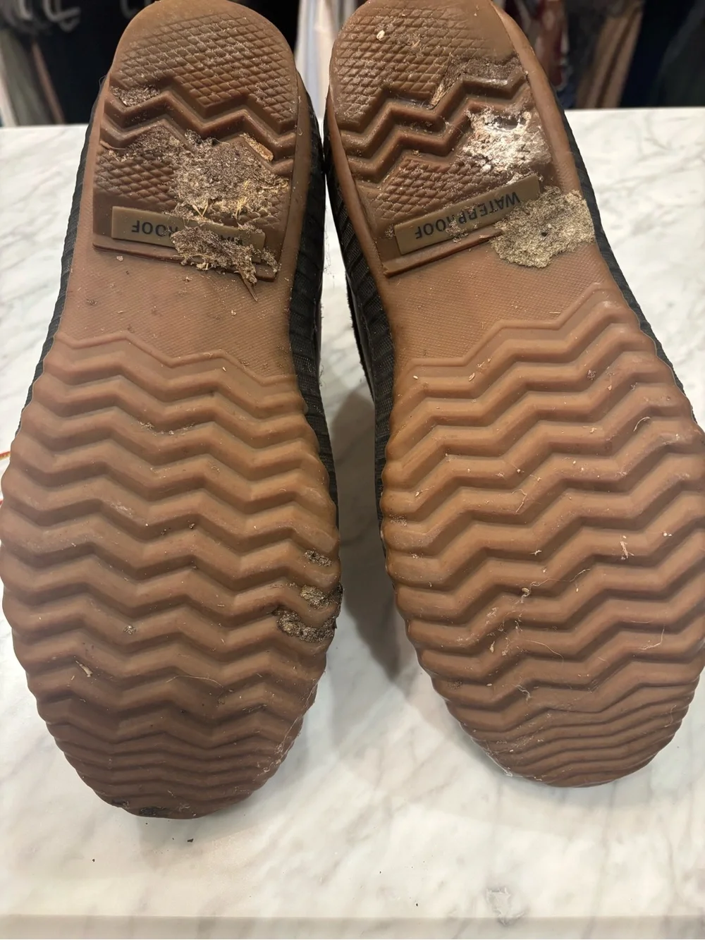 N/A sorel caribou